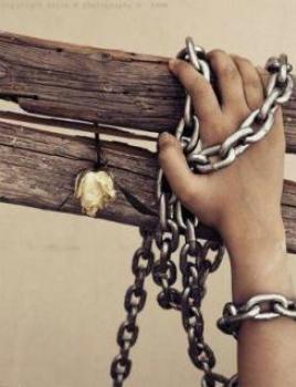 بيان صادر عن لجنة المبادرة الوطنية لكسر الحصار على غزة 