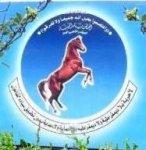 الحاكم يوافق على القائمة النسبية وتحديد الفترة الرئاسية بدورتين 
