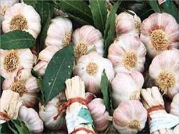 لأنه "بنسلين الفقراء".. الثوم أغلى من اللحمة في الصين