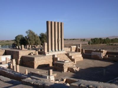 سقوط ثلاثة جرحى من شباب الفزعة المأربية وبيان صادر منسقية الفزعة