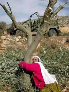 شخصيات اردنية : الفلسطينيون لا يفتشون عن وطن بديل ويعتبرون ذلك خيانة