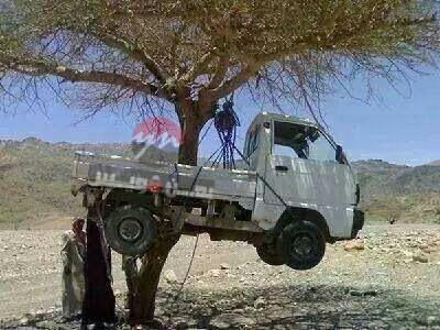 في أظرف موقف احتجاجي.. شاهد بالصور.. مواطن يعلق باصه فوق الشجرة احتجاجا على رفع تسعيرة البترول
