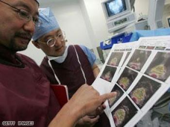 عقار مصري جديد لعلاج السرطان من الأسماك السامة