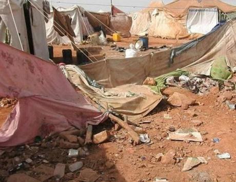 بعد مقتل وجرح 38 نازح في حرض، منسقة الشؤون الانسانية باليمن تصدر بيان وتتجاهل الفاعل الرئيسي للمجرزة