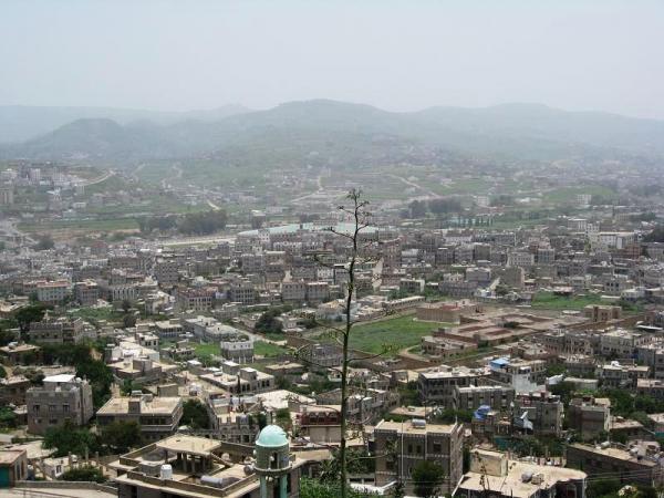 حالة وفاة جديدة وعشرات الإصابات نتيجة أنفلونزا الخنازير في إب