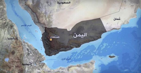 زراعة القات تنتشر في السعودية .. والسعودة تفرض عقوبات على زارعيه (تفاصيل)