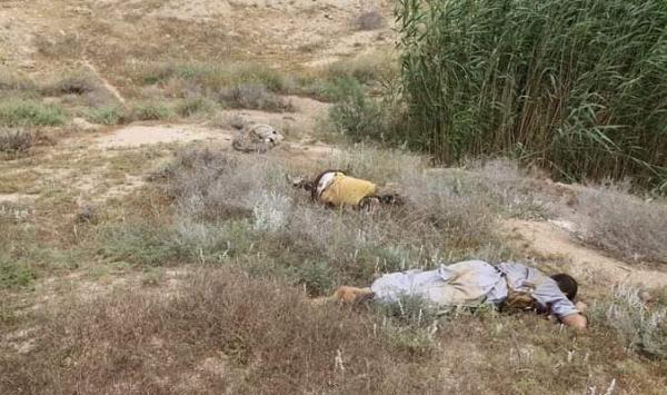 شاهد بالصور .. جثث الحوثيين في منطقة حجور، وعشرات الأسرى وغنائم كبيرة، (تفاصيل ما حدث يوم أمس واليوم)