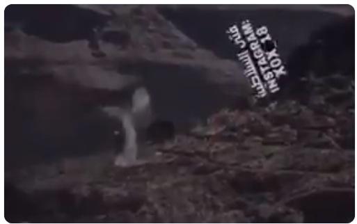 الصحفي «محمد العرب» ينشر فيديو لجندي يمني قال إنها «بطولة وشجاعة اسطورية» انطلق كالأسد .. وهذا ما حدث !