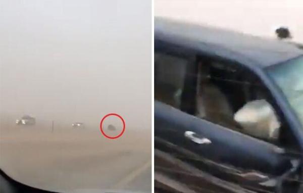 فيديو: سائق متهور يتبسبب بحادث مروع على طريق سريع بالمملكة