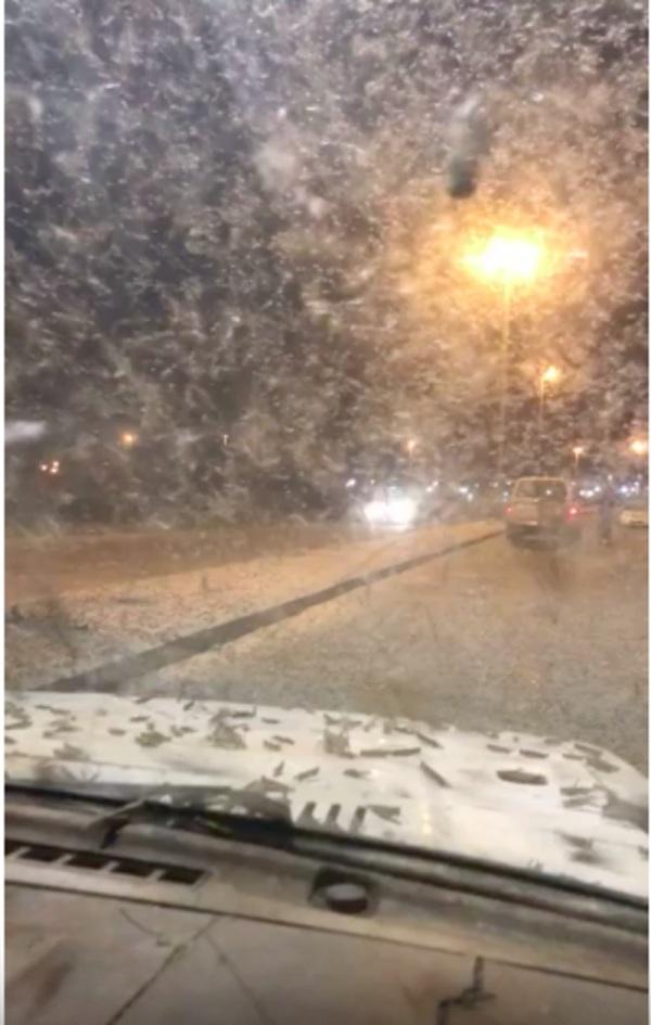 شاهد.. أسراب الجراد تغزو منطقة ينبع السعودية 