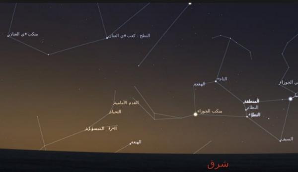 باحث في الطقس يكشف موعد نضوج العنب وماذا سيحدث خلال الأيام القادمة