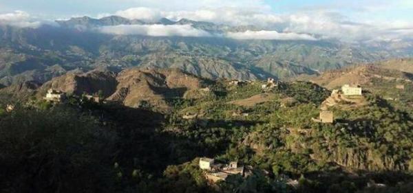 جندي بتعز يرتكب جريمة بشعة قام بذبح أمه وطعن والده وشقيقه