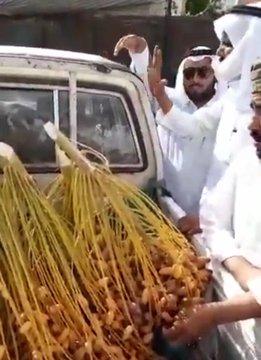 نوعيتها مثل الذهب.. بيع تمور في نجران بأكثر من 16 ألف ريال خلال مزاد علني بالشارع