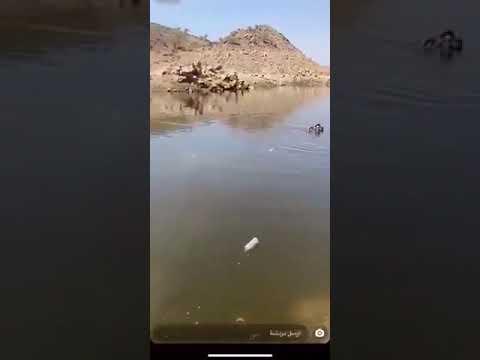 التفاصيل الكاملة للزوجين اليمنيين الغارقين في بحيرة غدير البنات بالطائف (فيديو)
