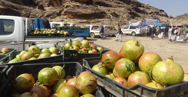 شحنات الرمان اليمني تتدفق إلى السعودية بعد رفع الحظر الذي استمر 5 أعوام