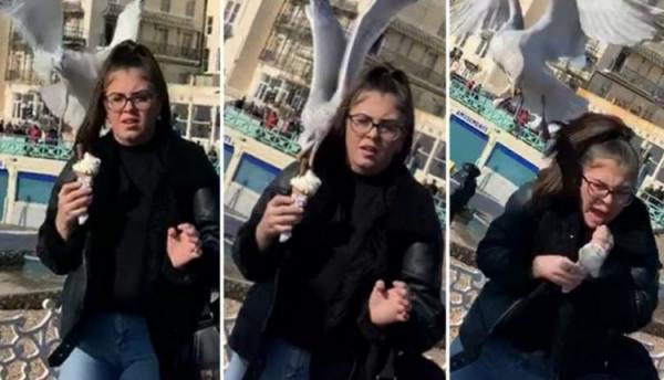 فتاة تتعرض لموقف مرعب بسبب طائر نورس (فيديو)