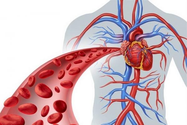 إليك أفضل 9 طرق لتنشيط الدورة الدموية.. تعرف عليها