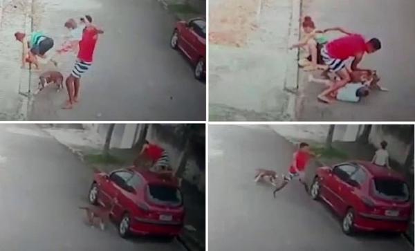 كلب متوحش يغرز انيابه برقبة طفل والأب يتدخل فيهاجمه الكلب.. (شاهد ماذا فعل!)