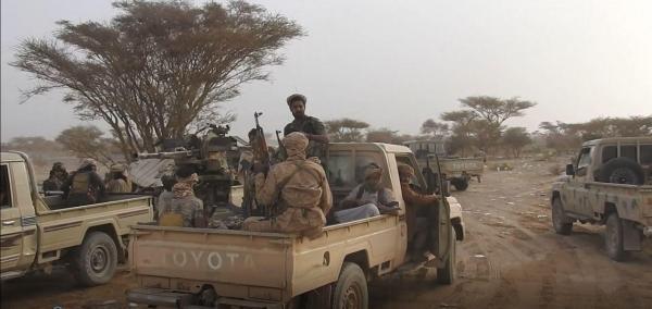 كمائن تسقط العشرات من الحوثيين في الفخ