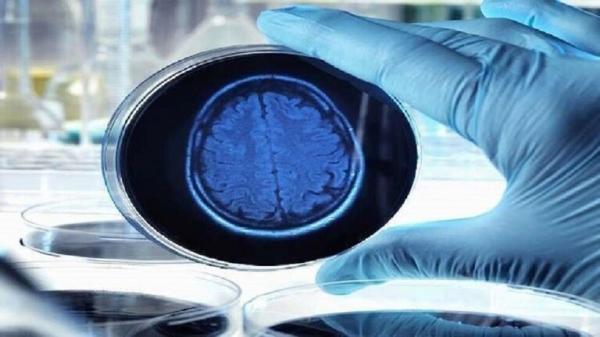 تناول التوت بانتظام وسيلة سهلة للحماية من أعراض مرض باركنسون