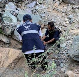 السعودية: العثور على مفقود "ضبيا" في المدينة المنورة... صور
