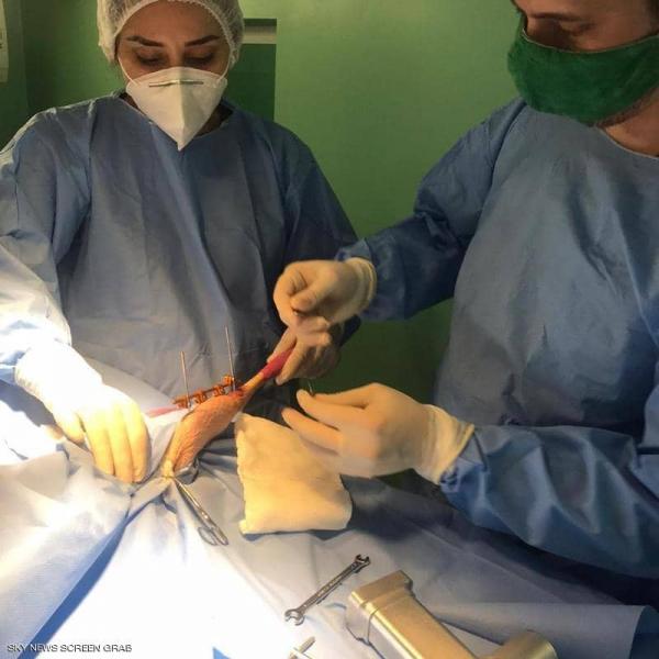خدع المصريين والعرب بعملية الدجاجة.. والطبيب البرازيلي يفضح الخدعة !