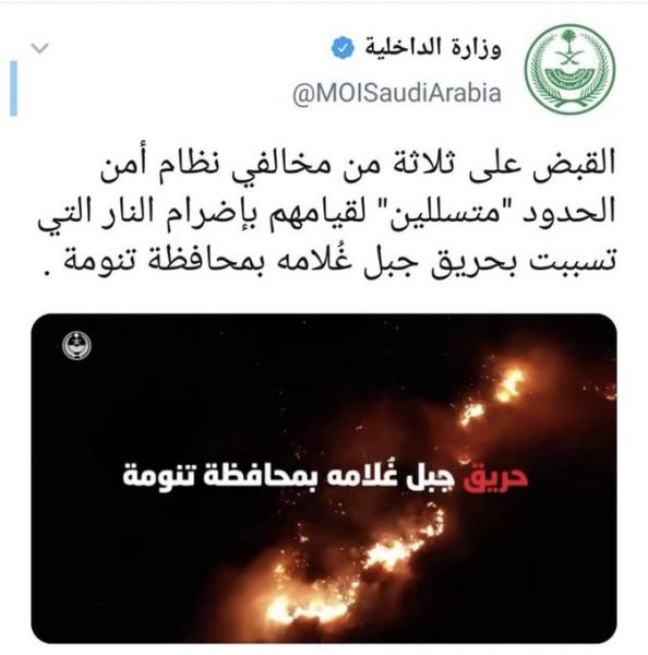 السعودية: القبض على ثلاثة متسليين قاموا بإشعار الحرائق في جبل غلامة بتنومة