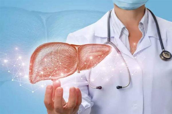 سبعة أطعمة تحافظ على سلامة الكبد.. تعرف عليها واحرص على تناولها