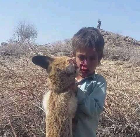 مواجهة مباشرة بين طفل يمني 7 سنوات مع حيوان مفترس .. فلمن كانت الغلبة؟ (صورة)