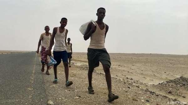 الهجرة الدولية: وصول أكثر من 37 ألف مهاجر إلى اليمن