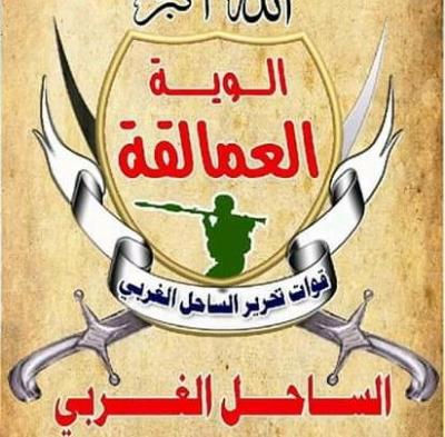 طارق صالح وقائد الوية العمالقة يرميان الكرة في ملعب الشرعية لتحرير الحديدة