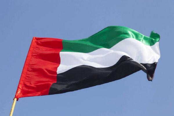 دولة الإمارات العربية المتحدة تفوز بمقعد عضو غير دائم في مجلس الأمن