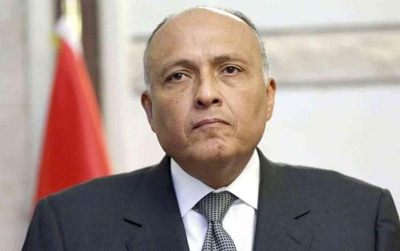 وزير الخارجية المصري:  تركيا منعت "الإخوان المسلمين" من الظهور الإعلامي بشكل رسمي