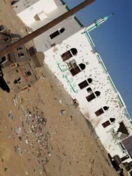 مقتل عدد من المصلين بقصف حوثي على مسجد في مديرية عسيلان بشبوة