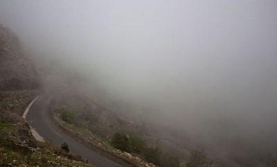 حادث مروع بصنعاء يسفر عن سقوط 3 قتلى و 12 جريح