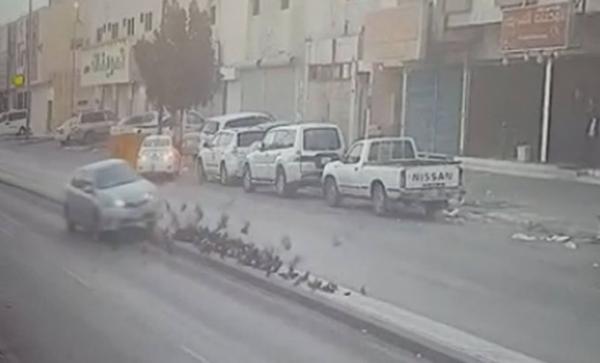 فيديو مؤلم.. قائد مركبة سعودي يتعمد ارتكاب «مجزرة» بدهس عشرات الحمام على الطريق