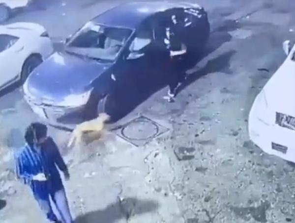 هرولت كعداءة سباق.. كلب  يطارد امرأة وردّ فعل غير متوقع من المارة