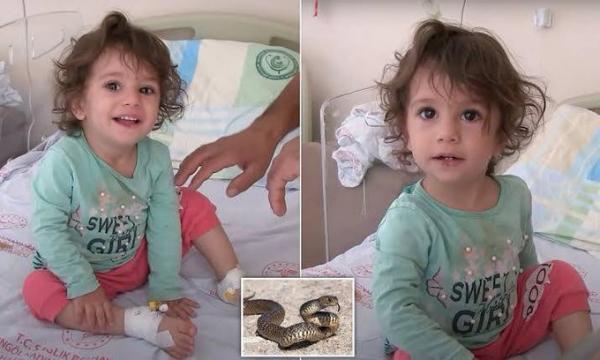 في حادثة غريبة.. طفلة تعض افعى حتى الموت.. والسبب؟