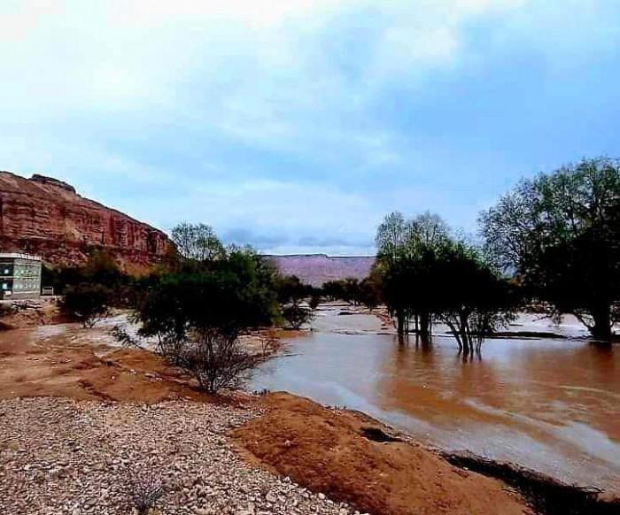 شبوة: العثور على 4 جثث لمواطنين جرفتهم السيول اليوم