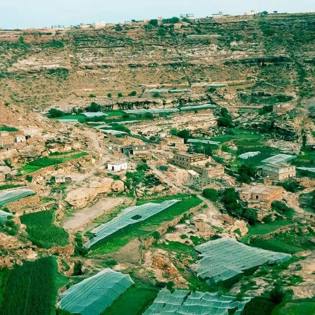 في واقعة صادمة.. صقر يختطف طفلة في محافظة الضالع