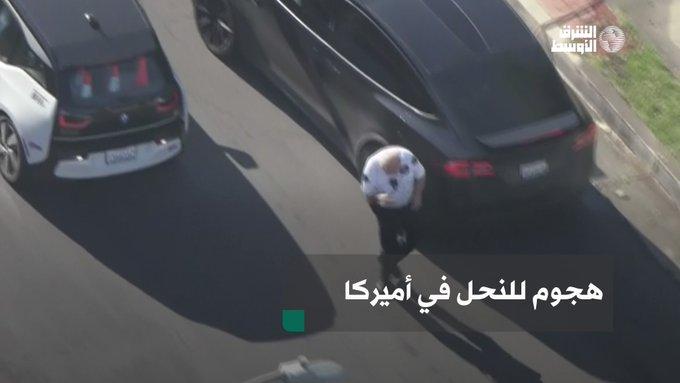 سرب نحل يهاجم شرطي أمريكي بقوة ويوقعه بالأرض والأخير يخسر المواجهة (فيديو)