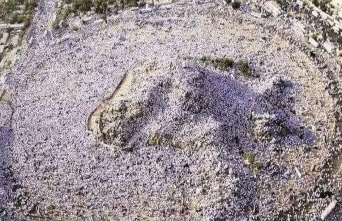 السعودية: تسجيل أعلى درجة حرارة في عرفة