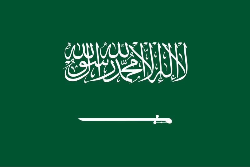 كيف أجهضت السعودية خطط تهجير الفلسطينيين