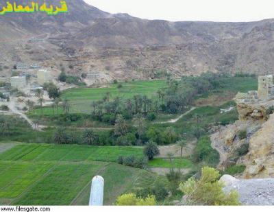 المعافر.. أرض مغتصبة تبحث عن مشروع أكاديمي عملاق!!