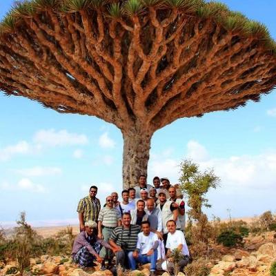 همة الشباب تختتم  حملة حماية البيئة في جزيرة سقطرى 