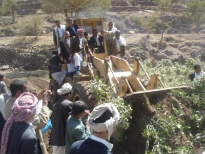  اقتلاع 1900 شجرة قات وغرس 1300شجرة بن بمديرية ضوران آنس (صور)