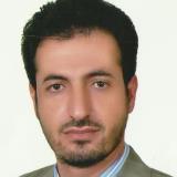  صالح وهادي أيهما يكسب الجولة ؟ 