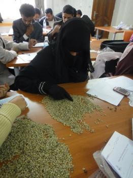 لأول مرة في اليمن تدريب تذوق البن