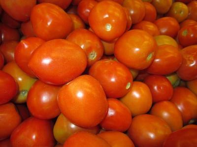 وزير الزراعة اليمني: تراجع اسعار الطماطم بسبب استيراد كميات لتغطية احتياجات السوق المحلية