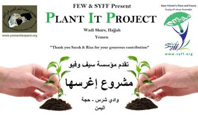 مؤسستا SYFF وFEW ينفذان مشروع اغرسها بمنطقة شرس بحجة